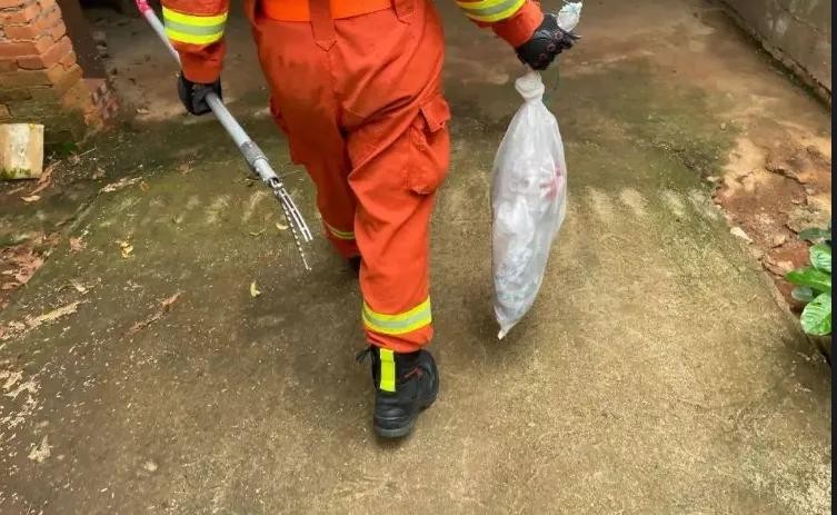 蛇从马桶里面爬出来咬伤人,女子被蛇咬到手上有蛇纹