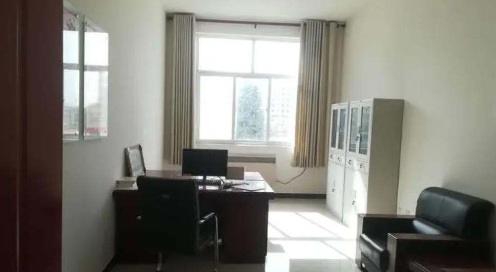 全国头号女警花王菲,王菲女警察