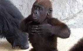 为什么大多数人创业都失败了,创业最困难的时候是怎么过的