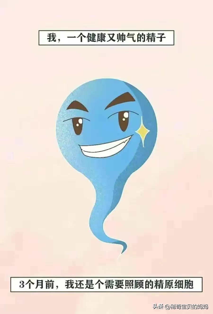 精子进入女生体内的全过程，一路坎坷好艰难！（漫画）