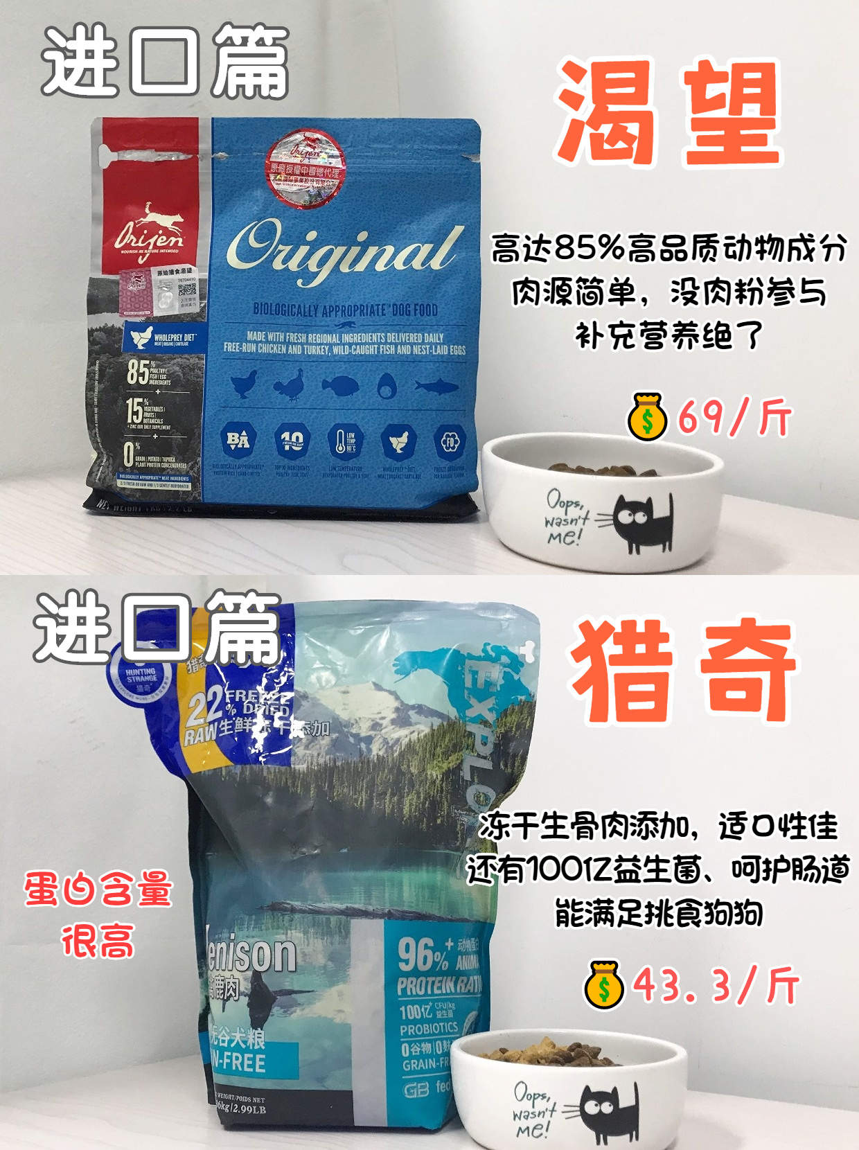 养狗不养傻狗,养狗不花冤枉钱