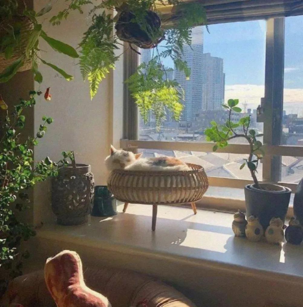 适合广东人的夏季家电选购指南，这三款产品太实用，用过的都说好