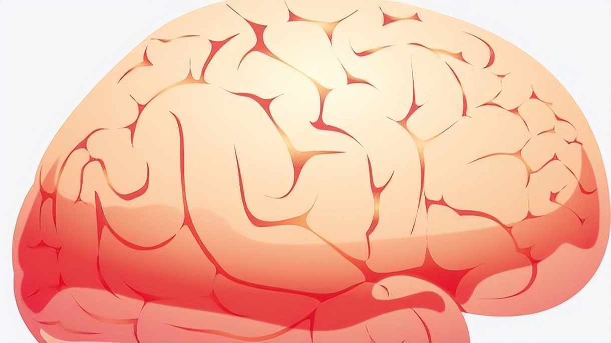 老年人脑部萎缩吃什么维生素好呢,老人脑萎缩吃什么能食疗恢复