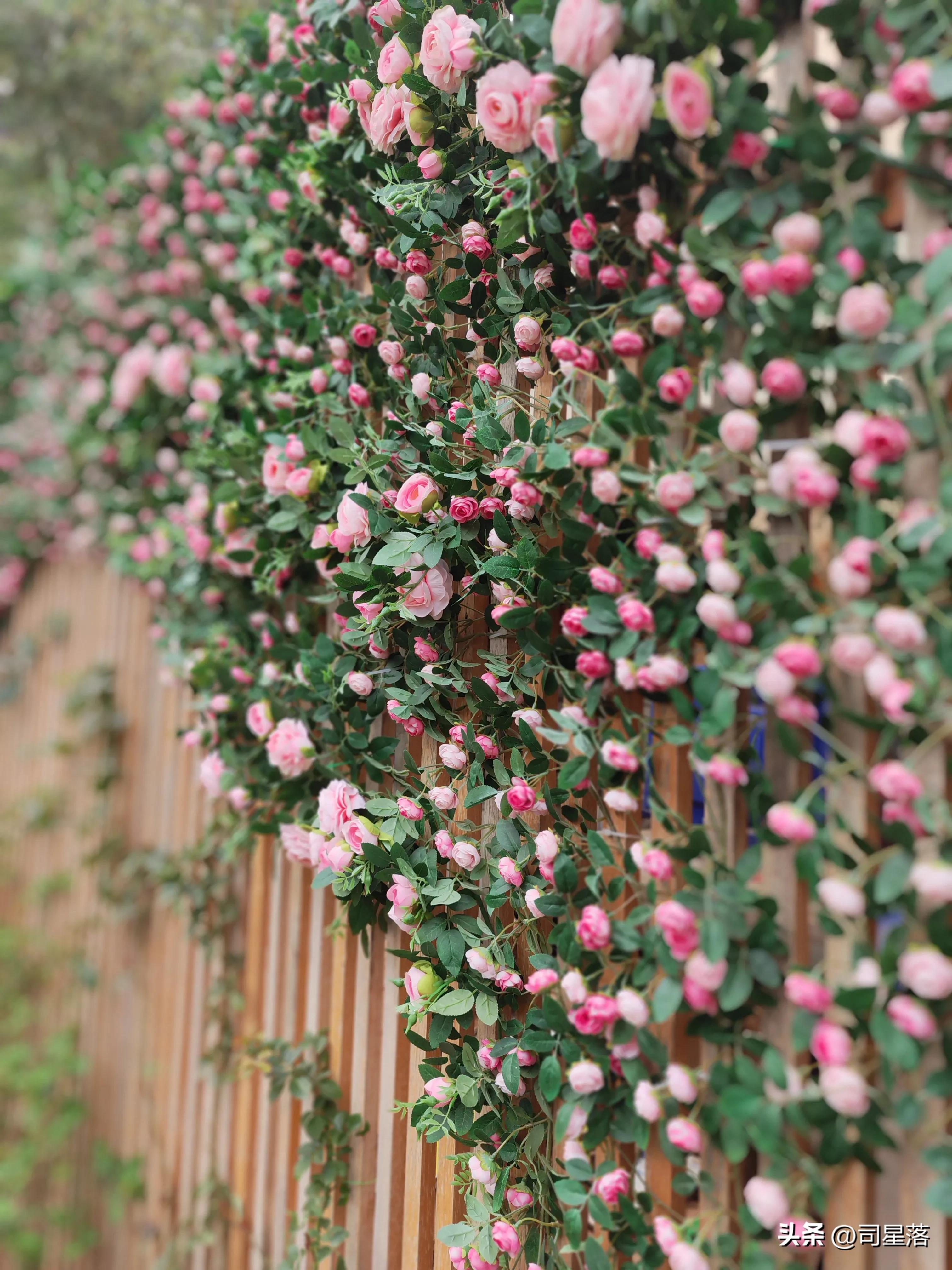 直播聊天的主播月收入,聊天主播直播的真实收入