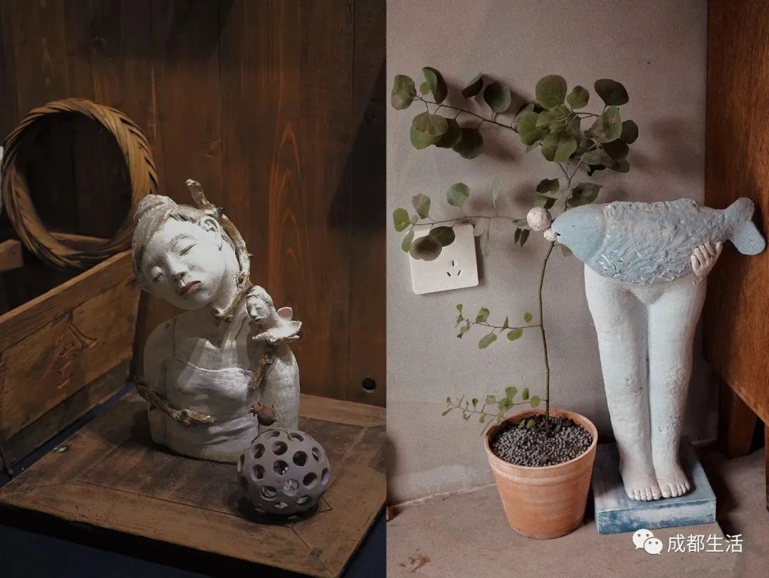 12条时髦老街，长满晒太阳的成都人