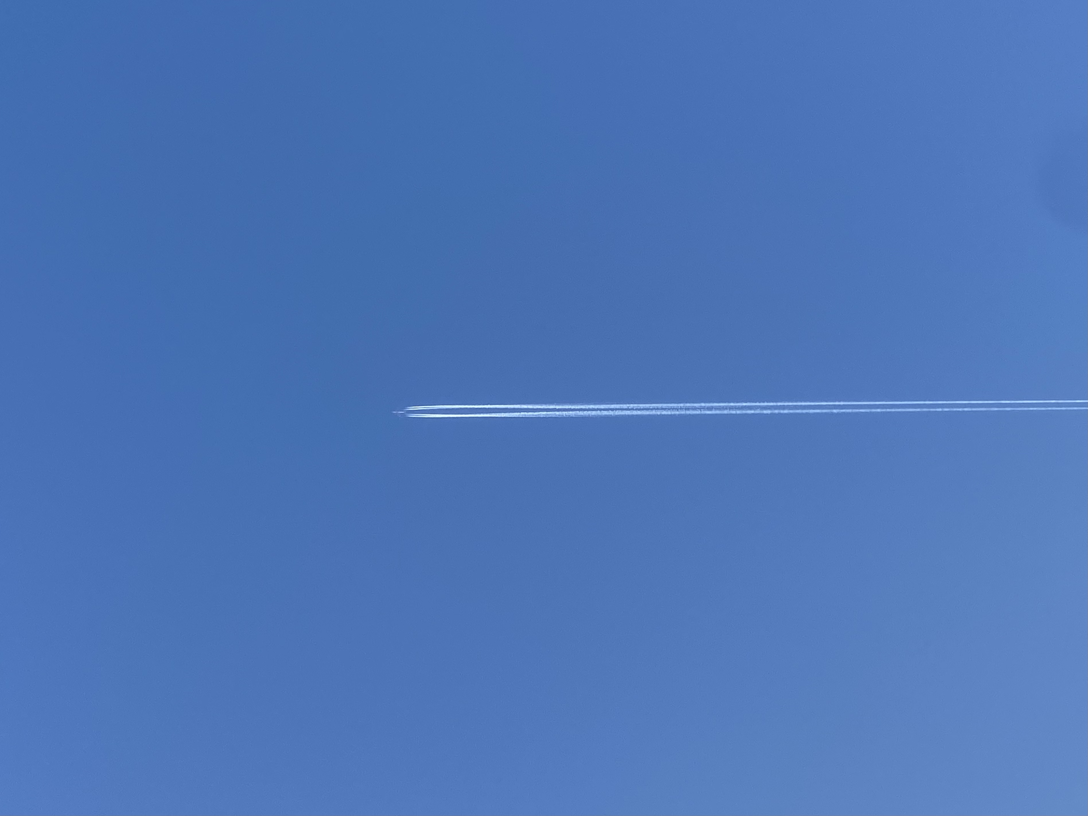 threatened在法律文件中的释*解义**析