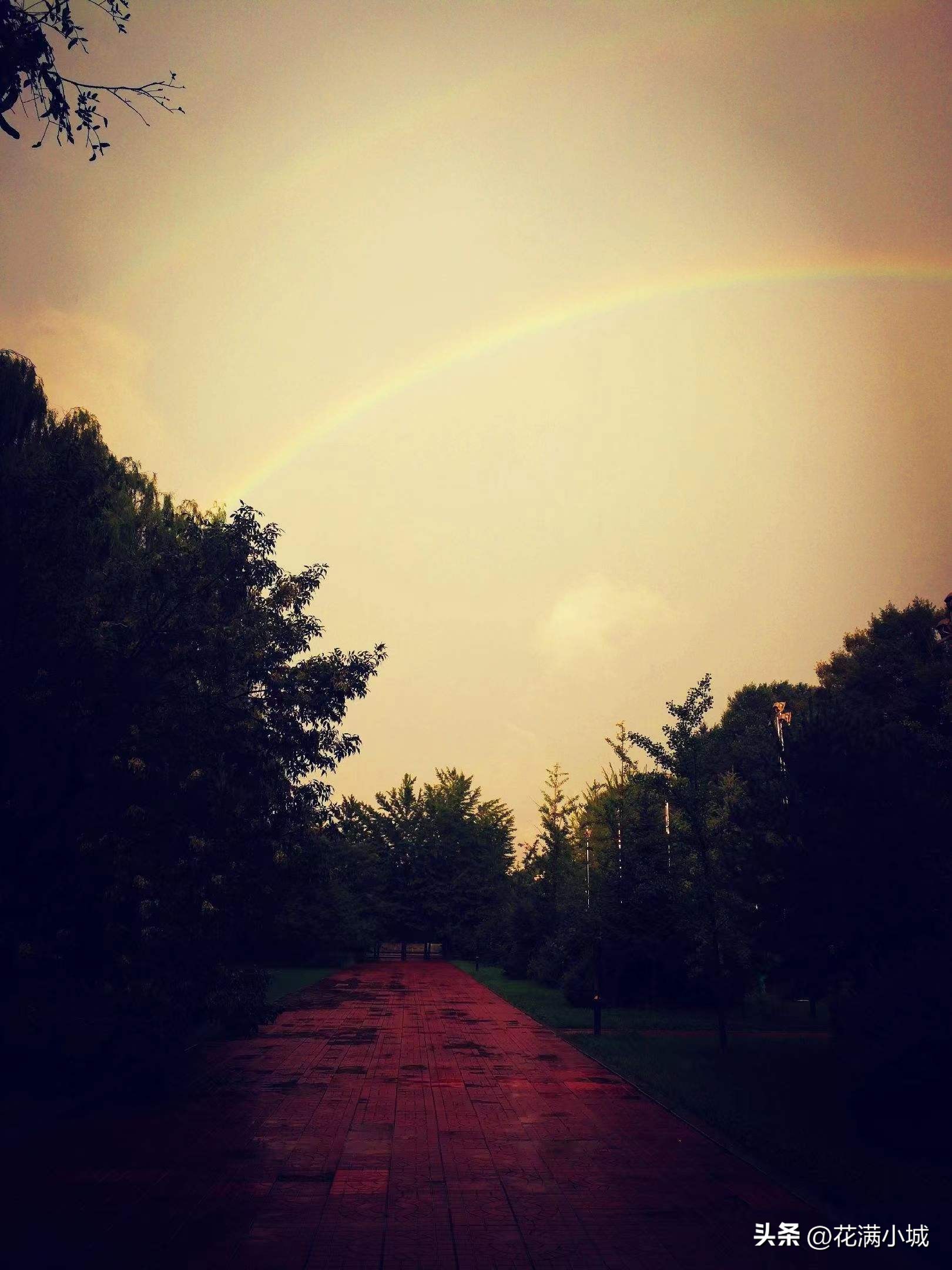 太阳雨热水器价格一览表,太阳雨歌曲