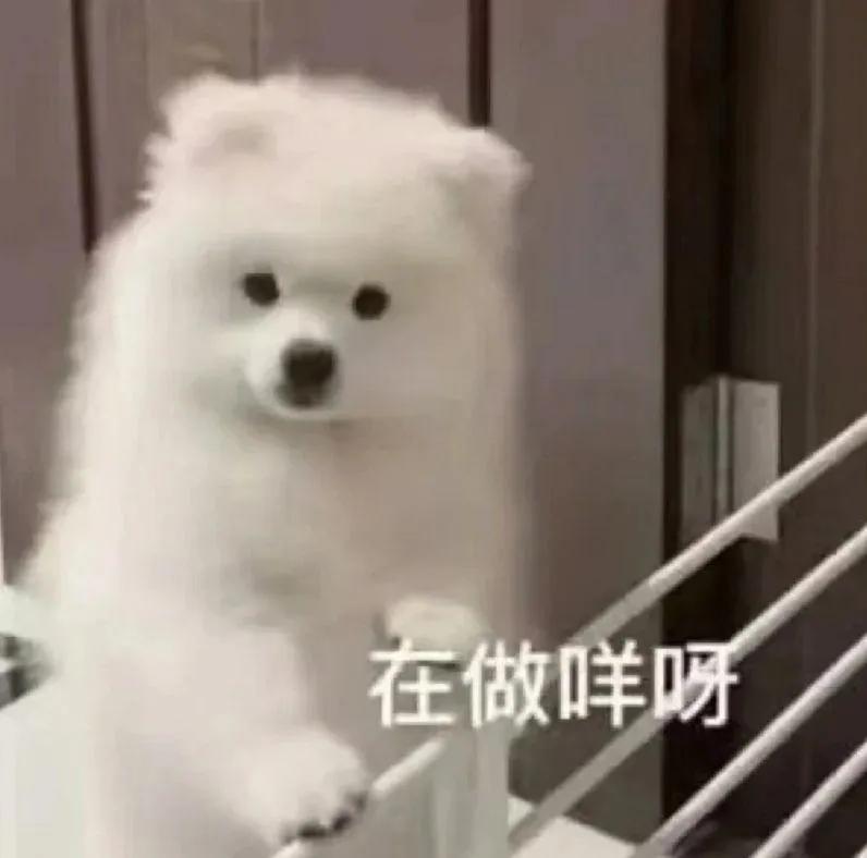 轻轻敲醒沉睡的心灵表情包高清,轻轻敲醒沉睡的心灵表情包