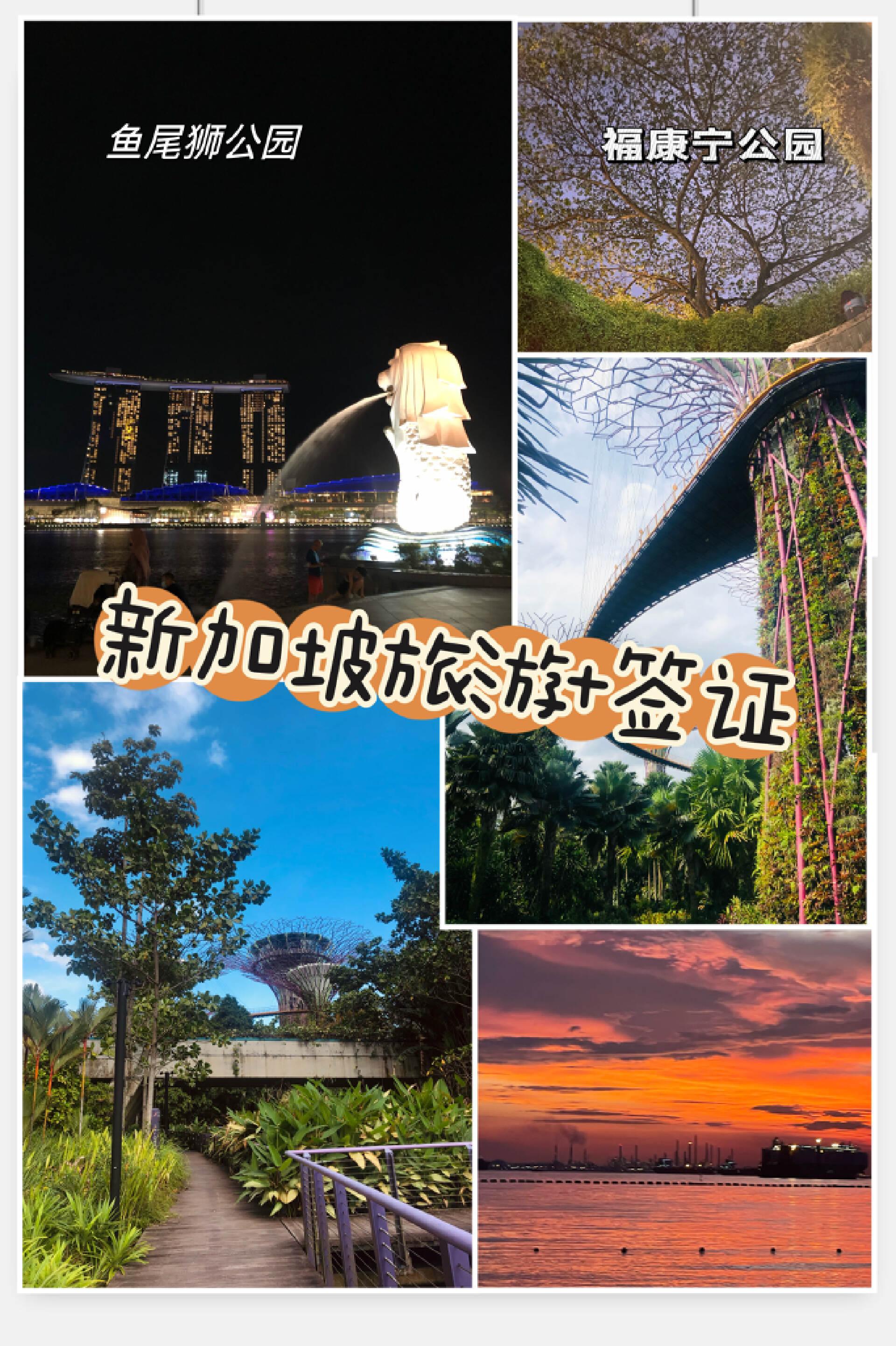 新加坡夜间动物园游玩攻略,新加坡之旅攻略