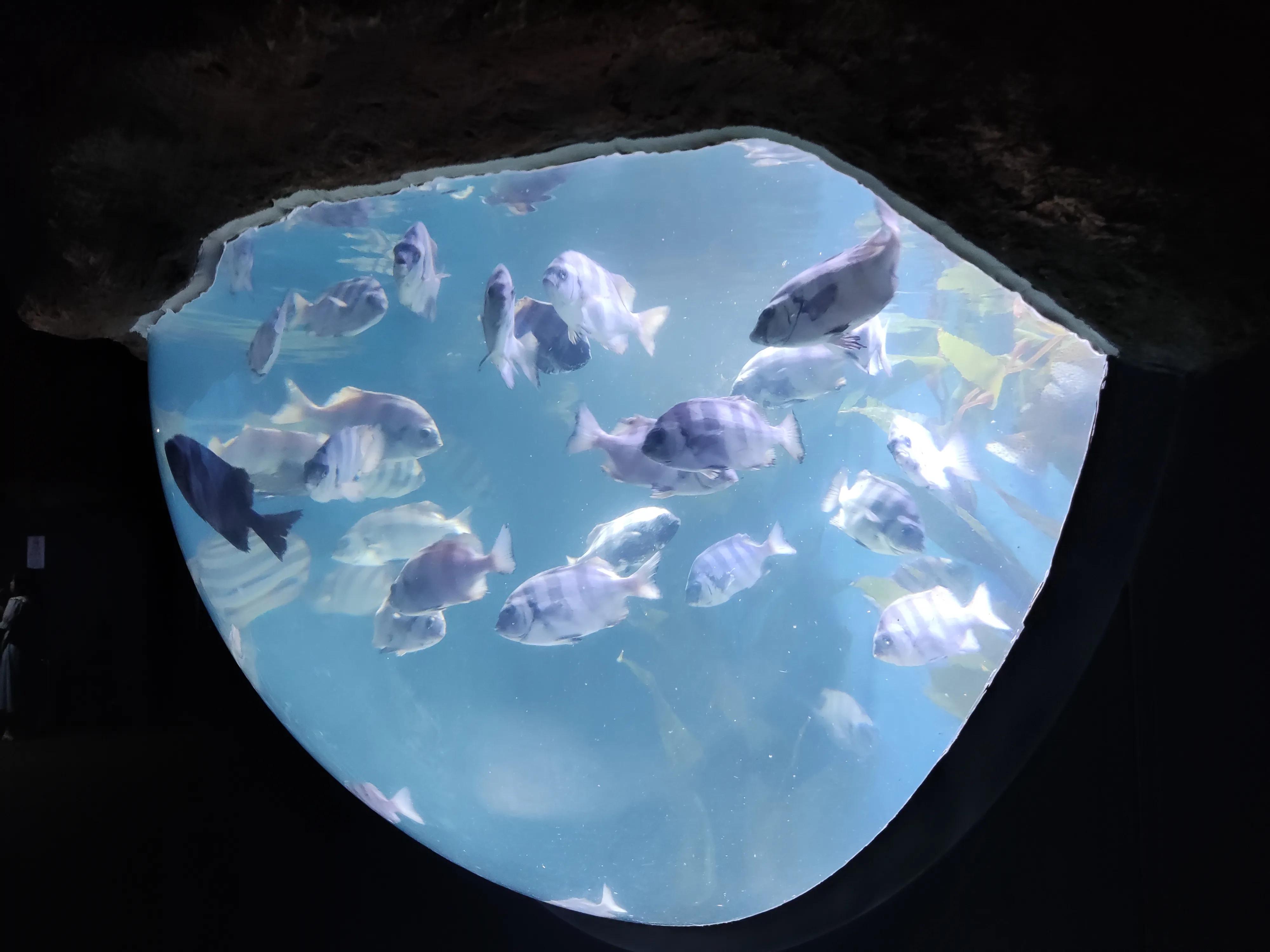 怀旧扑克翻牌游戏,翻扑克牌的各种游戏