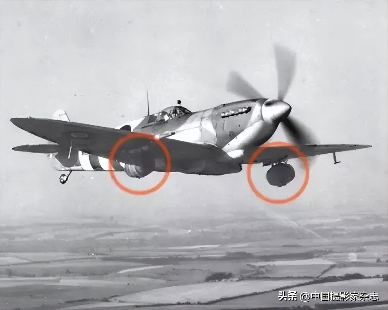 108张令人惊讶的历史与自然照片,有颠覆你认知的那张吗?