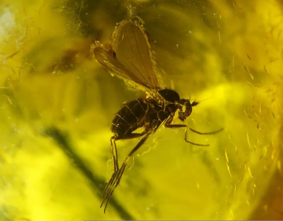 金属塑料玻璃是啥,塑料金属玻璃各种材质对比