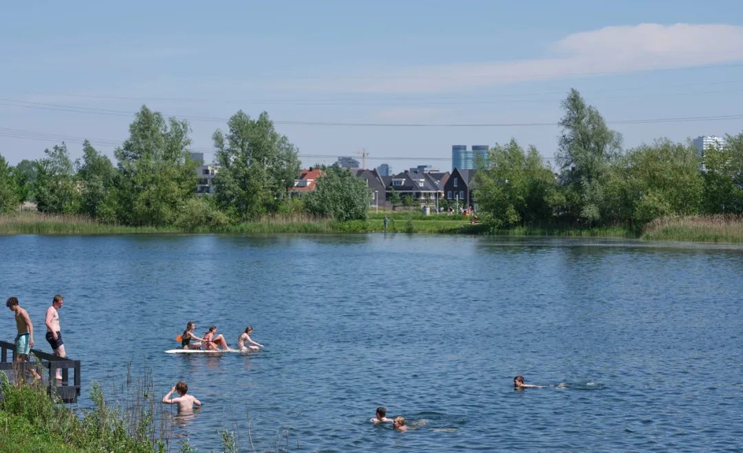 一个可以食用的绿色社区|RijnvlietEdibleNeighborhood