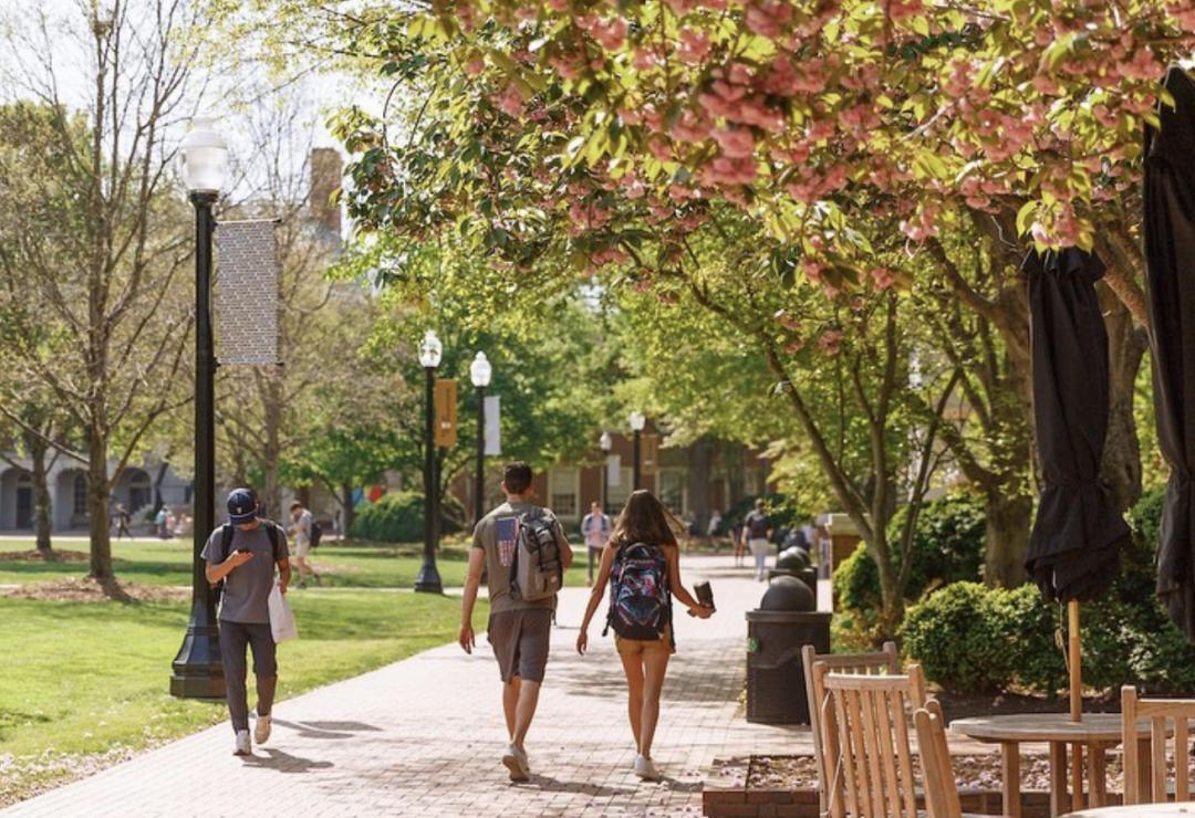 美国top30本科留学专业,美国转学录取率最高的大学