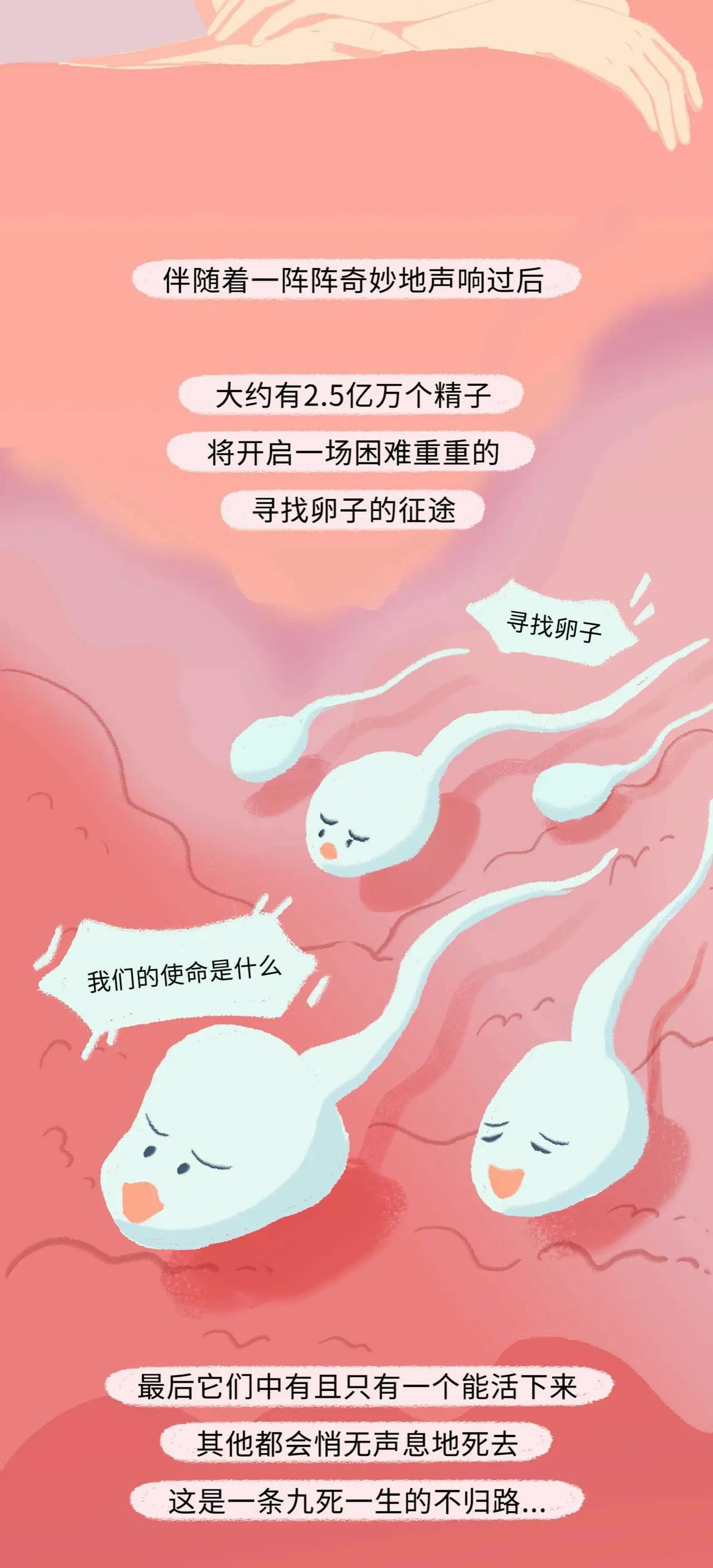 精子进入女生体内的全过程曝光！太励志了吧！