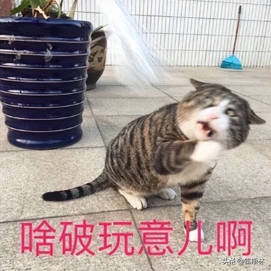 上海团长：2500万人错过的春天，我们团不来