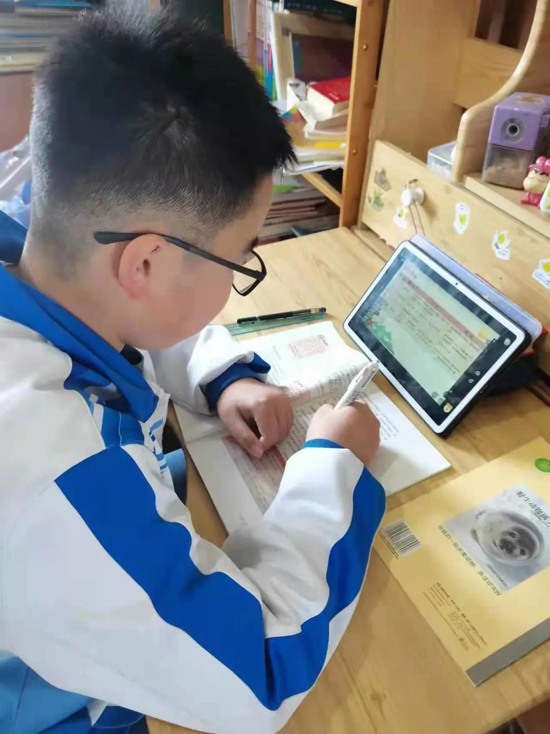 青岛第五十三中学新校区,青岛第五十三中学初中部