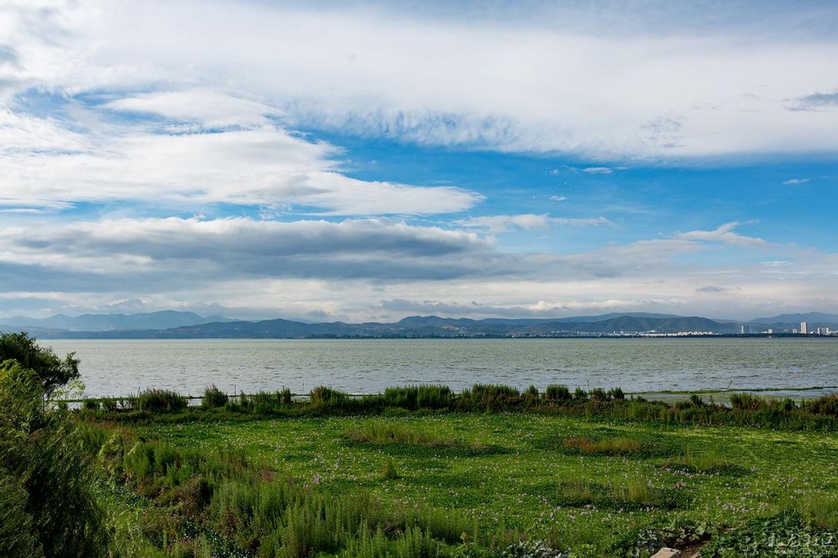 清水绿岸,清水绿岸鱼翔浅底