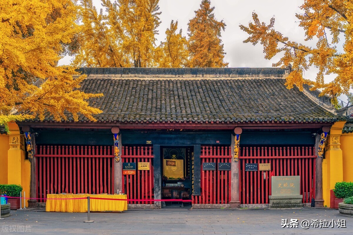 成都到乐山途中有哪些旅游景点,四川成都附近的旅游景点有哪些