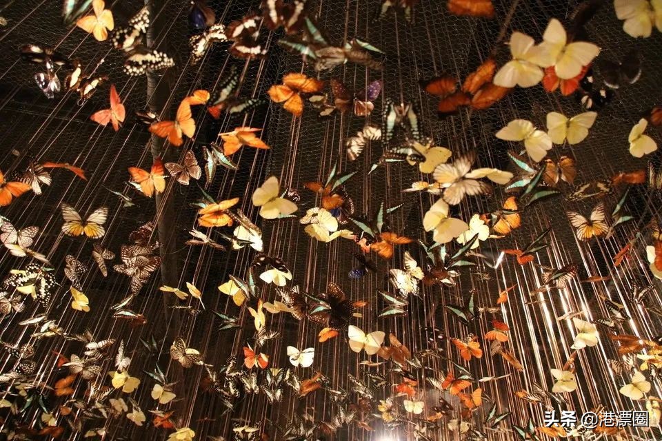 香港兰桂坊酒吧,兰桂坊香港酒吧