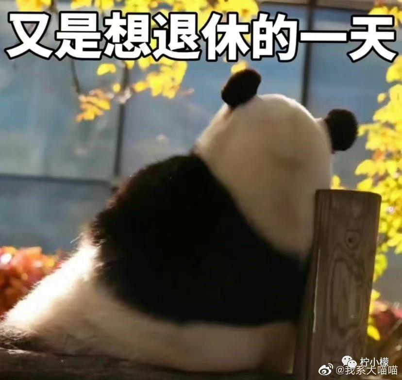 不小心把大尺度小说发给老师后...没逝的这辈子很快就过去了哈哈