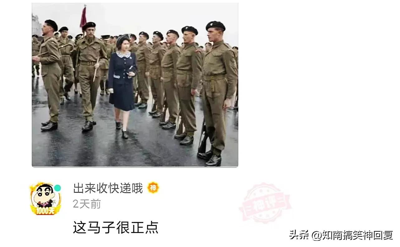 神回复绝了全是套路,神回复如果是你你会怎么选