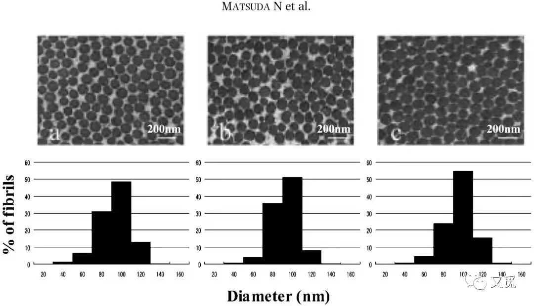 胶原蛋白肽是智商税还是美容圣品,胶原蛋白和胶原蛋白肽的区别明显