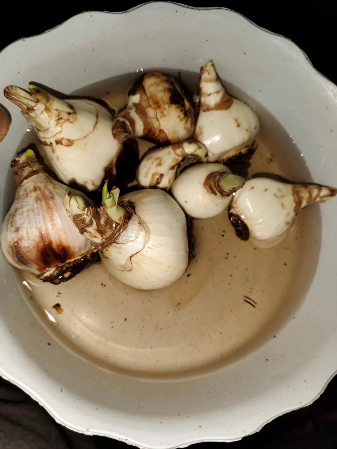 养花好物神器,花友必备神器