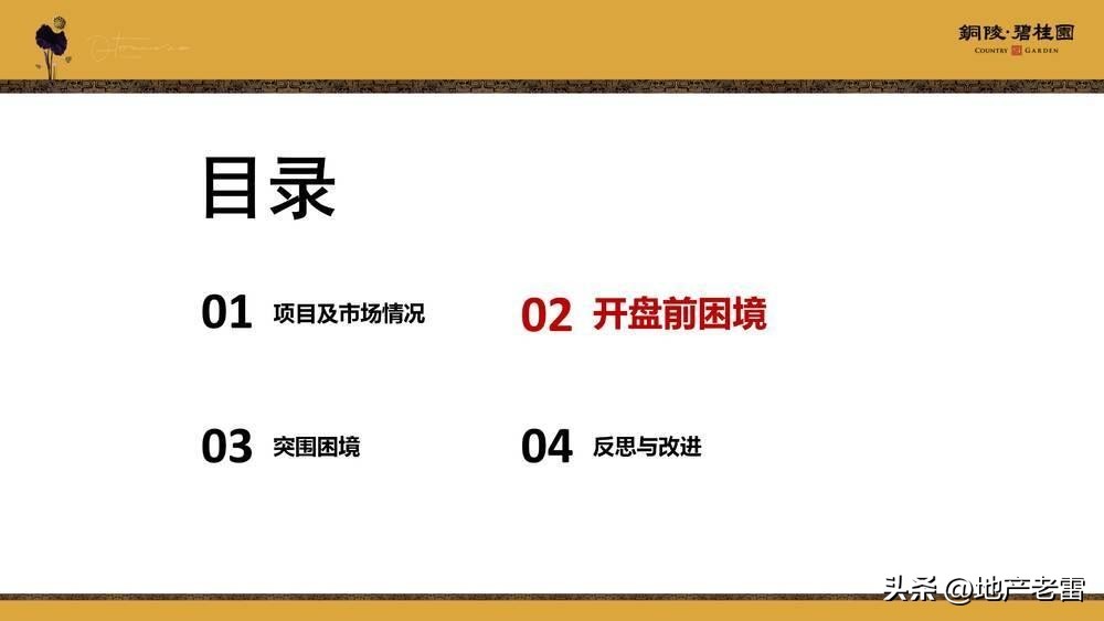 碧桂园房地产竞品分析,碧桂园房地产价格策略