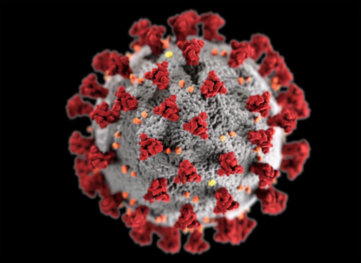 12月26日，圣诞当天美新增18万病例；美媒称印度超过600万人病死