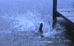 飞利浦外设贴牌,飞利浦代工贴牌南极人