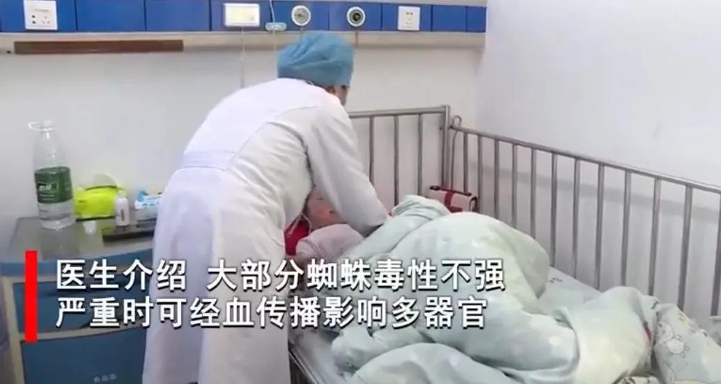 被毒虫咬后需谨慎,被毒虫咬后的有效处理