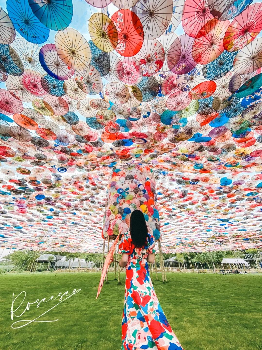 5·19幸福旅程从保山开始丨五一游腾冲,绝美栖花岭:天空之伞+千亩花海+粉色沙滩+福利