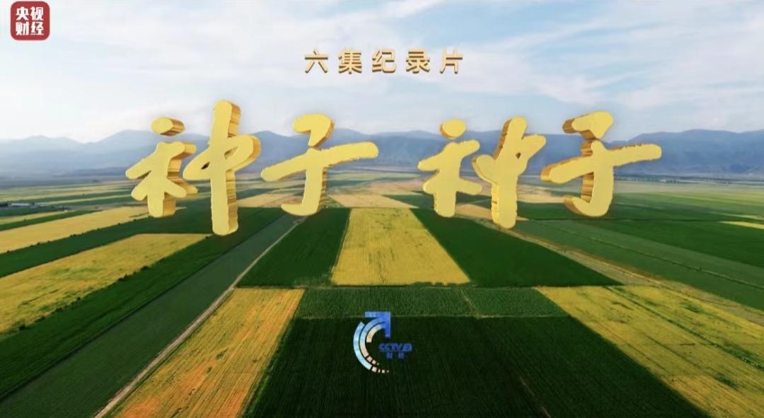 龙洋出题：种子种，种种种，4种读法，你能读出几种？