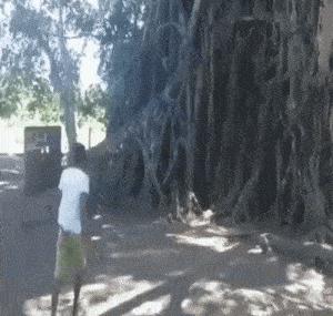 女朋友说她不能穿比较紧的衣服，我瞬间就懂了，效果原来是这样的