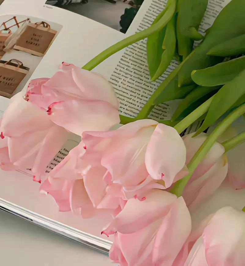 女生提高气质必读书,艺术与审美书单