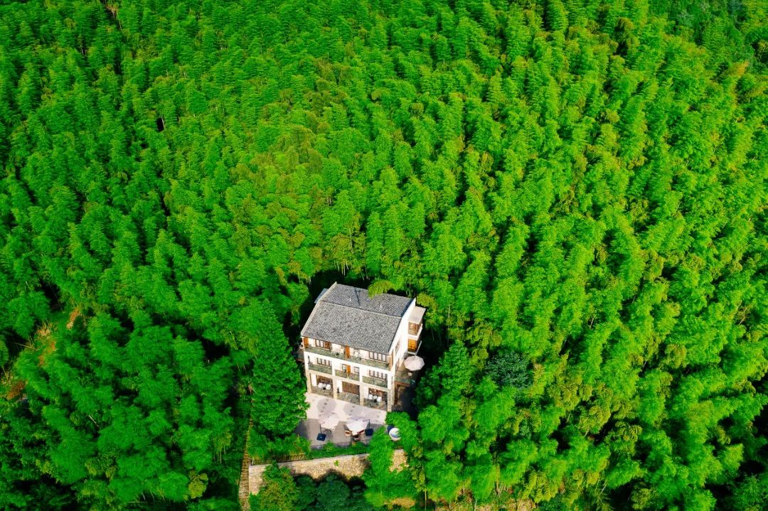 莫干山民宿天花板体验之旅,藏在莫干山间的民宿真的太美了