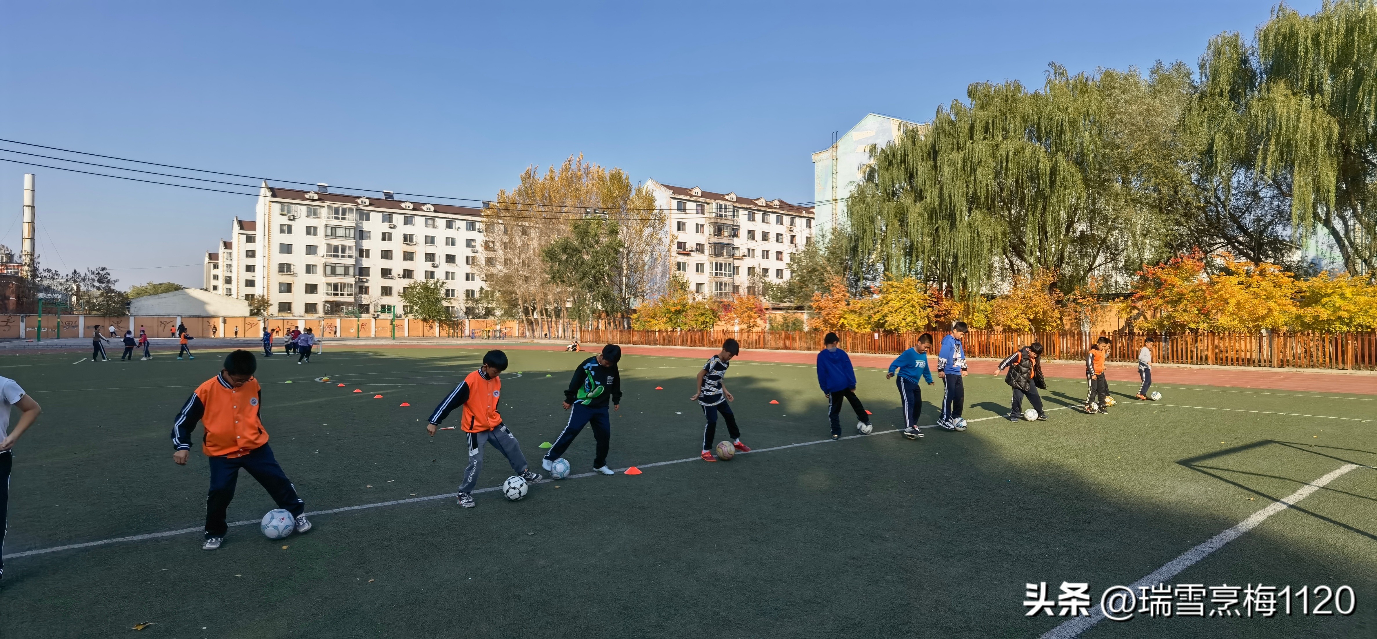 沈北新区新城子街第一小学怎么样,新城子街第一小学2015届
