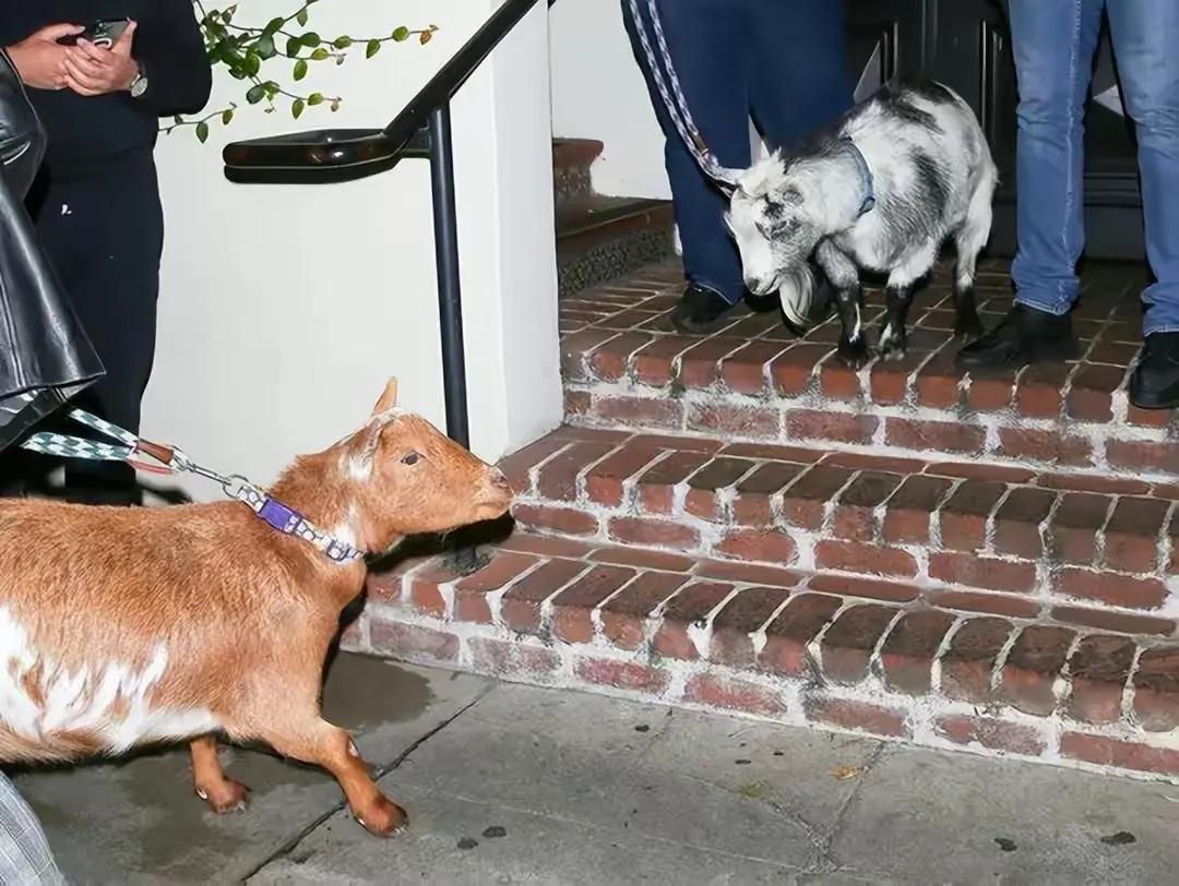 勒布朗詹姆斯,是什么让他幸运的当了十年的联盟第一人