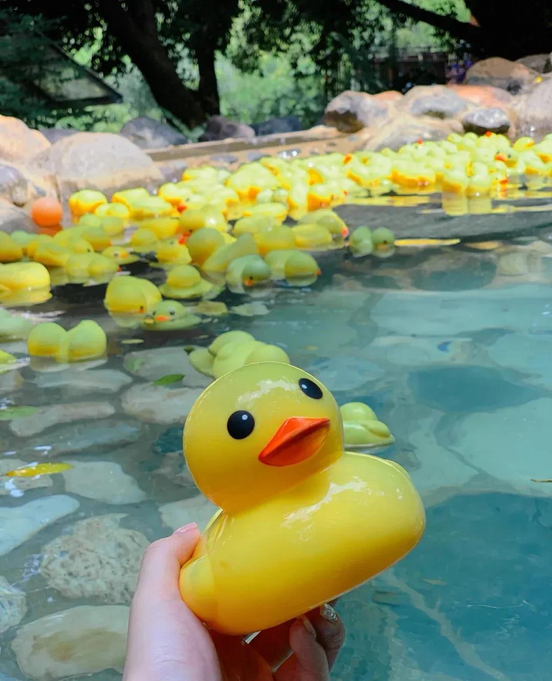 昆明禄劝县中平镇普渡河温泉地带,昆明适合儿童度假玩乐的温泉酒店