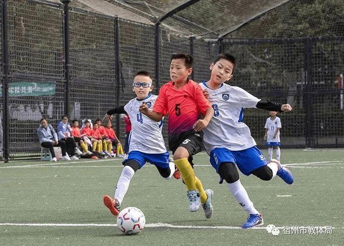 安庆市全民健身日主题活动,安徽省暨合肥市全民健身系列活动