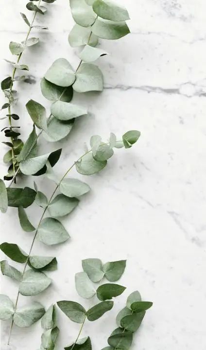 现代时尚生态木门风格,现代自然门