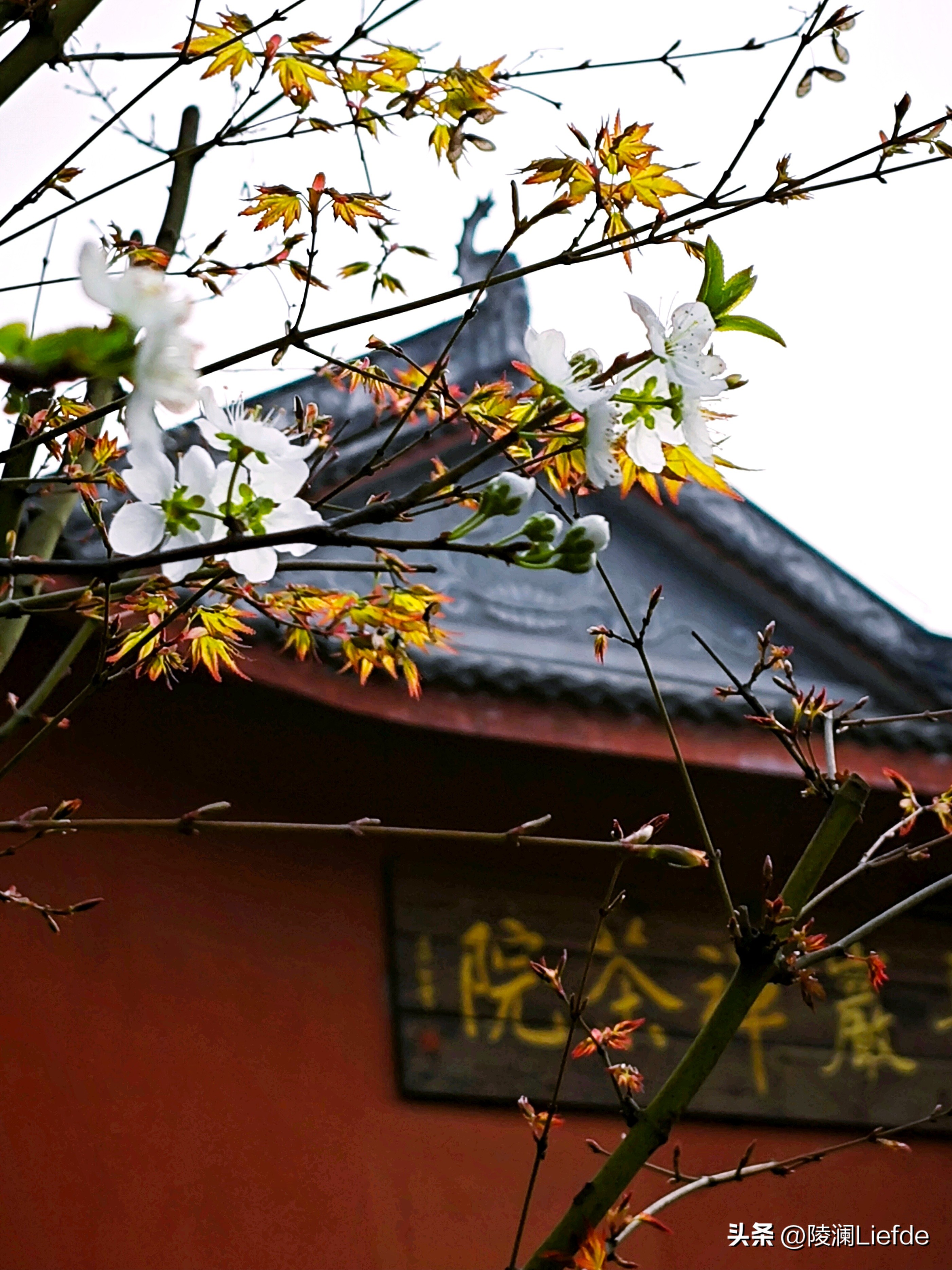 重庆踏青一日游景点推荐,重庆主城4月小众景点