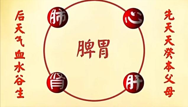 健脾祛湿薏米赤小豆芡实茯苓红枣,小米红枣苹果山药粥健脾养胃吗