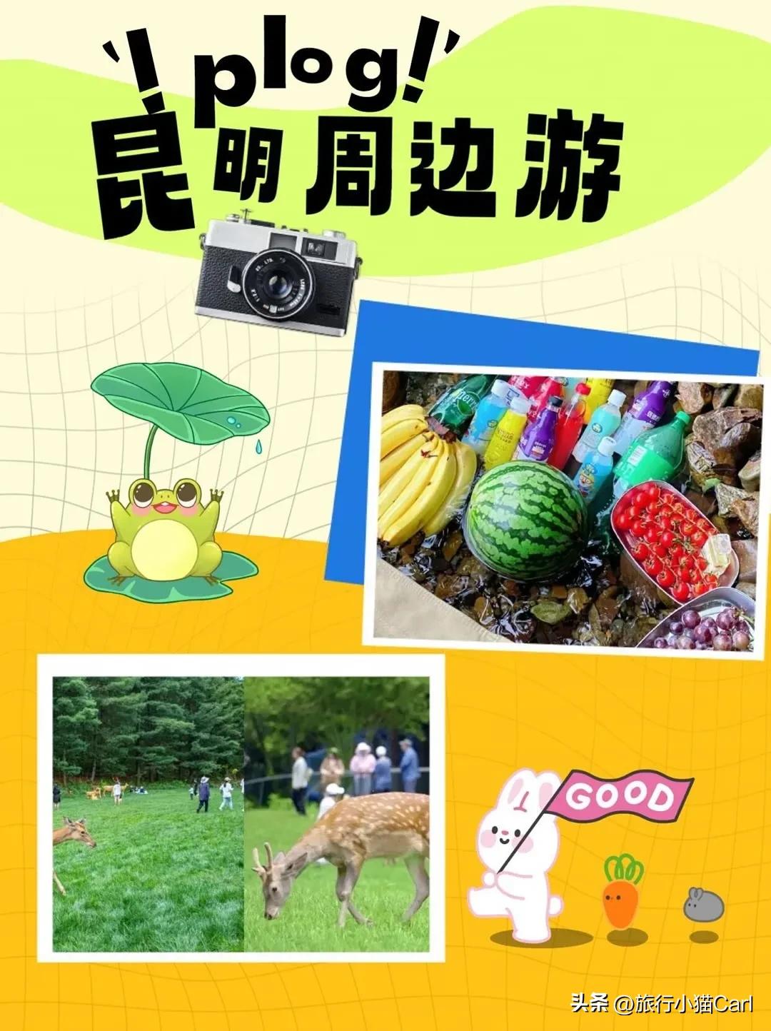 昆明及昆明周边景点,云南昆明周边游景点推荐