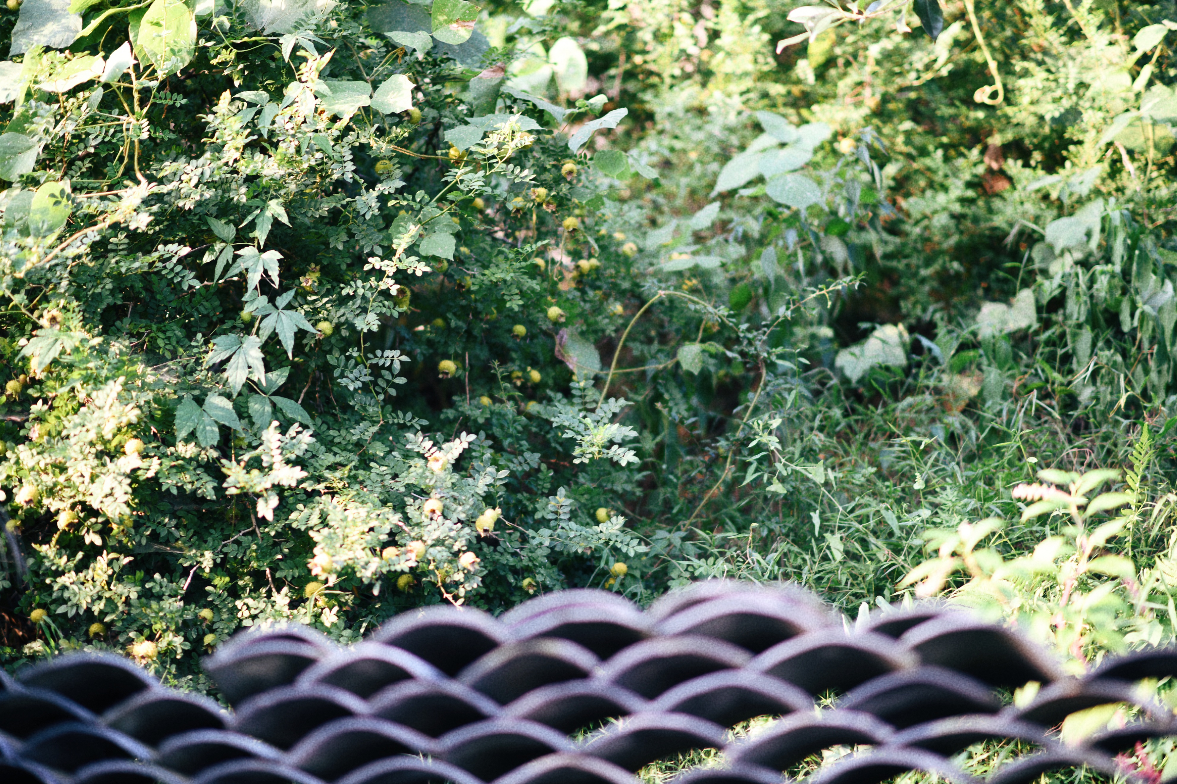 界石见山空谷民宿,巴南界石世外桃源