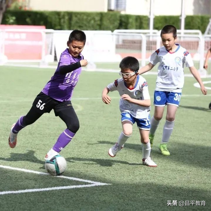 校园竞技体育的魅力,校园青春比赛