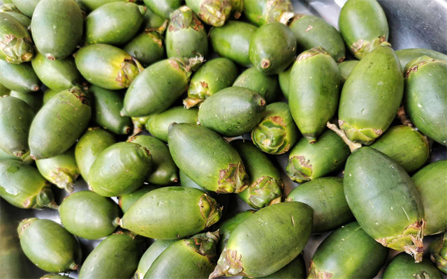 槟榔的危害到底有多大图,槟榔的危害和后果有多严重