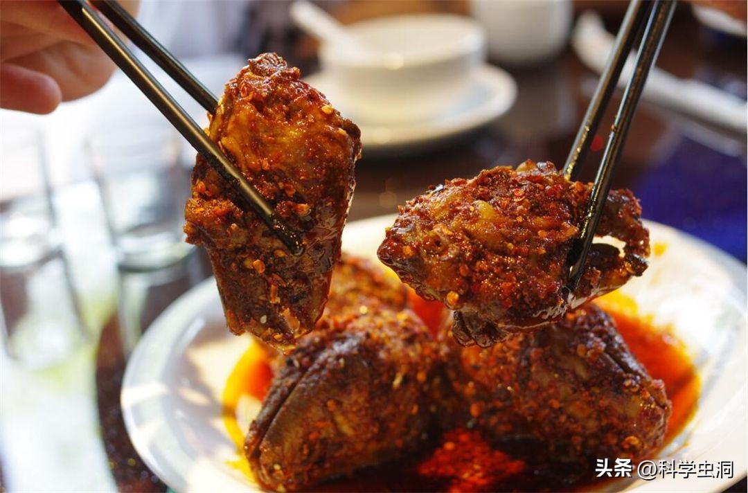 澳洲的野兔泛滥成灾的主要原因,澳洲野兔泛滥源头