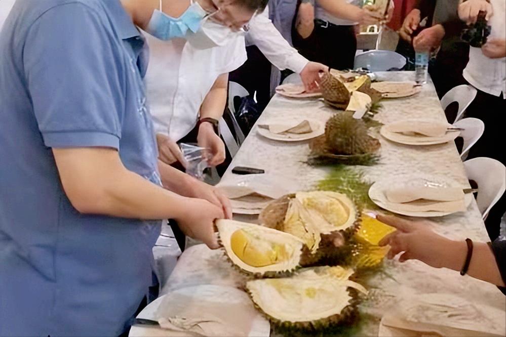 菲律宾榴莲获准对华出口,菲律宾希望扩大对中国的榴莲出口